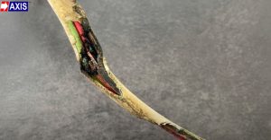 Heating of conductors