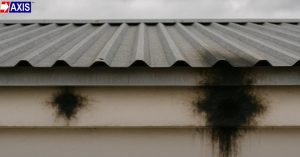 Spark at the point of strike.